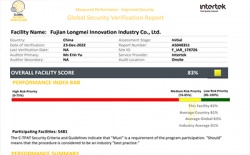 祝賀福建龍美創新有限公司2023年快速通過ITS-GSV驗廠